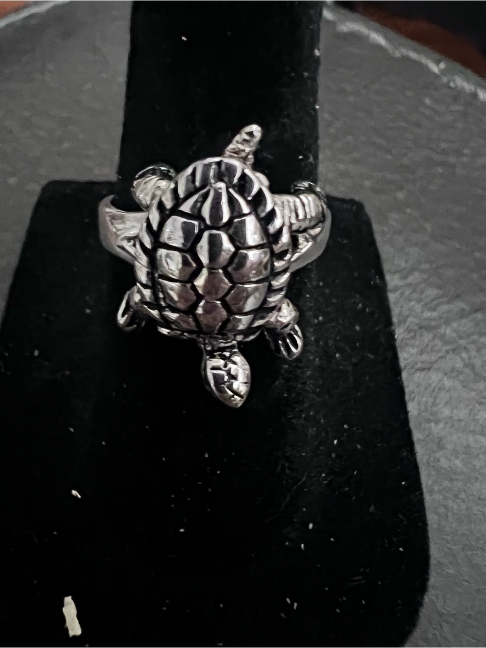 Turtle Statement Ring in Silver Tone